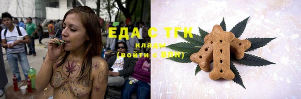 гашик Алексин