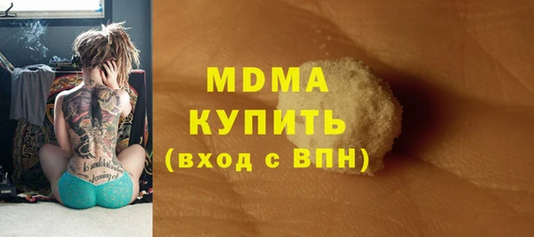гашик Алексин