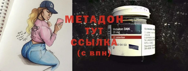 гашик Алексин