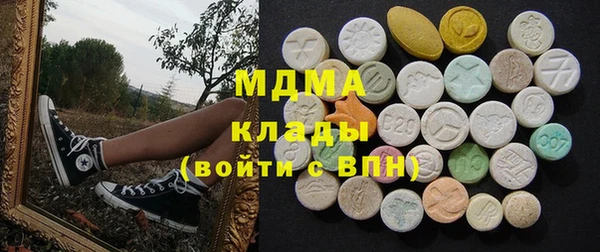 гашик Алексин