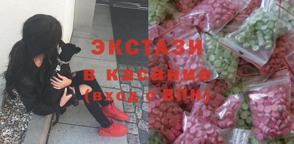гашик Алексин