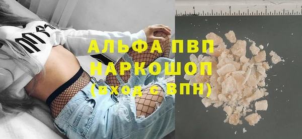гашик Алексин