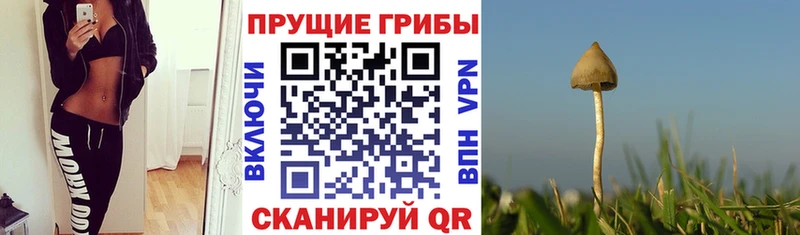 Псилоцибиновые грибы Magic Shrooms  KRAKEN как зайти  Нижний Тагил 